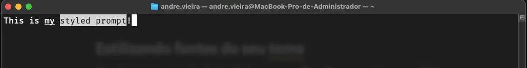 Criando um tema personalizado para o ZSH: Exibição do tema com fontes personalizadas